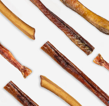 Treats: Bones, Sticks & Chews