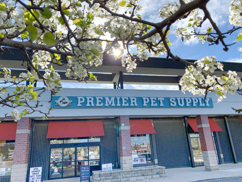 Store Spotlight: Premier Pet Supply