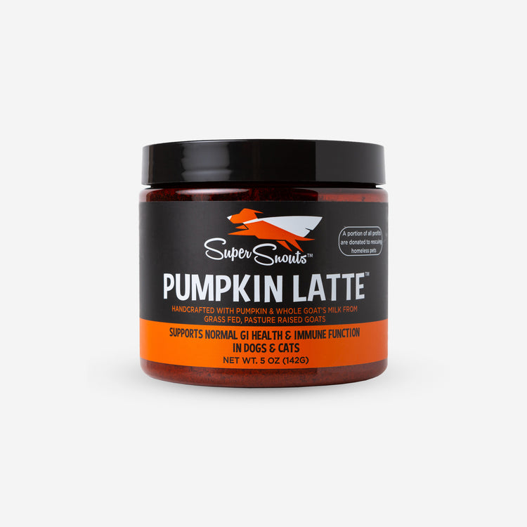 Super Snouts Pumpkin Latte