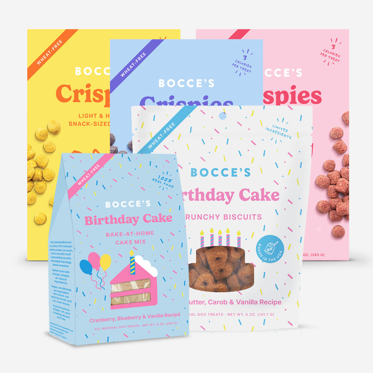 Bocce's Bakery Ultimate Birthday Party Kit