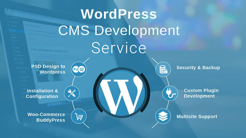 Wordpress Development Service Wordpress Development Service