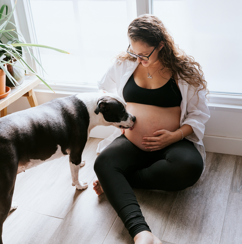 Do Our Dogs Know When We're Pregnant?